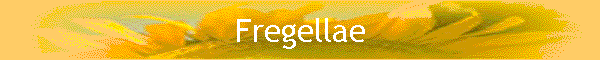 Fregellae