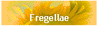 Fregellae