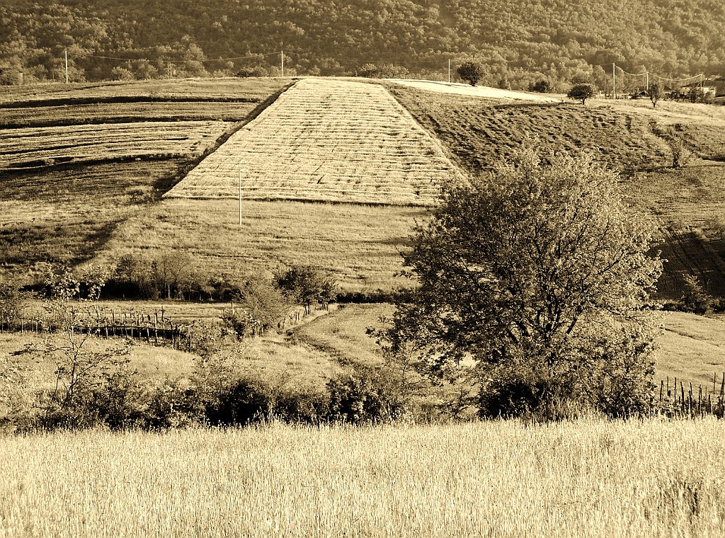 Paesaggio