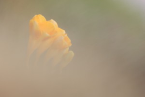 418237_large75967